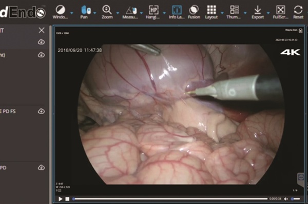 Enhancing Mobility for Veterinarians Through Cloud-Based Solutions